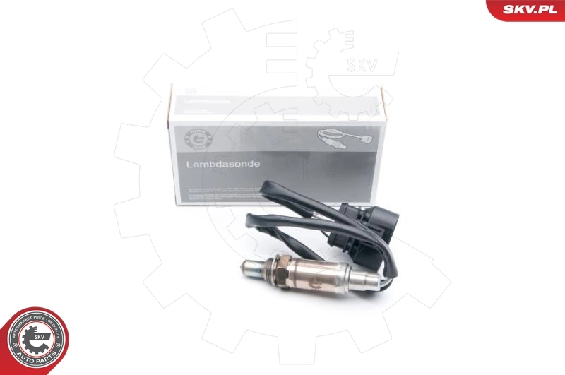 Oxygen Sensor